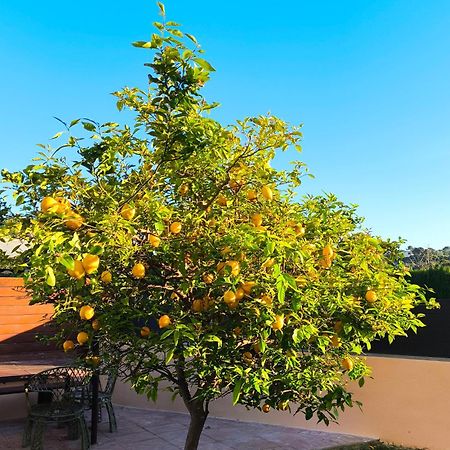 Adosado Con Jardin En Los Xalets De Salou Extérieur photo