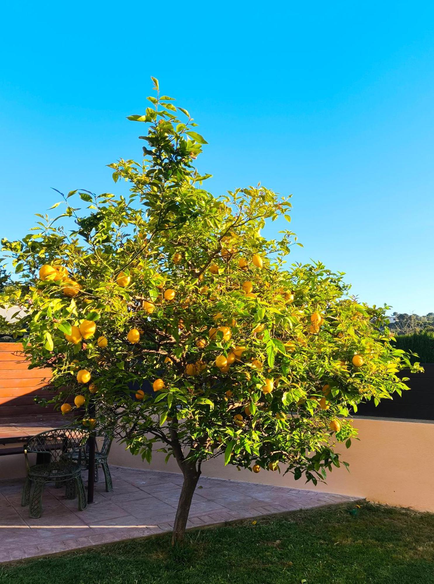 Adosado Con Jardin En Los Xalets De Salou Extérieur photo